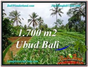 Exotic 1,700 m2 LAND IN UBUD FOR SALE TJUB560