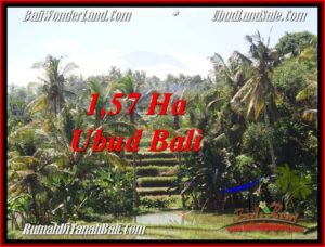 FOR SALE Magnificent PROPERTY 15,700 m2 LAND IN Sentral Ubud TJUB549