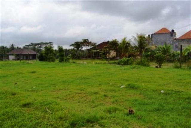 land for sale in ubud kukuh 1