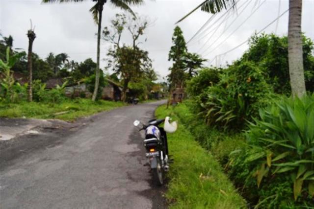 land for sale in ubud kukuh 2