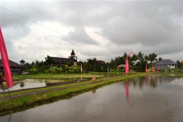 land for sale in ubud kukuh 5