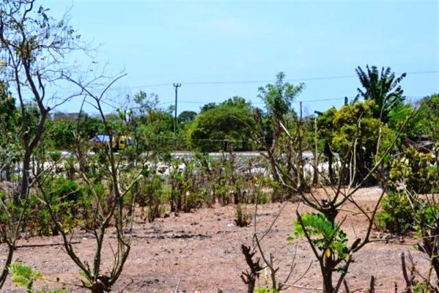 land for sale in jimbaran bali