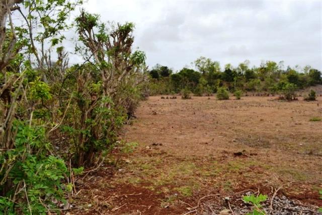 land for sale in jimbaran bali