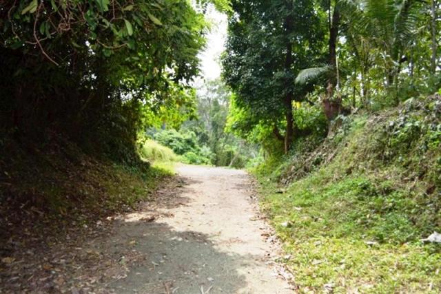 land for sale in ubud bali