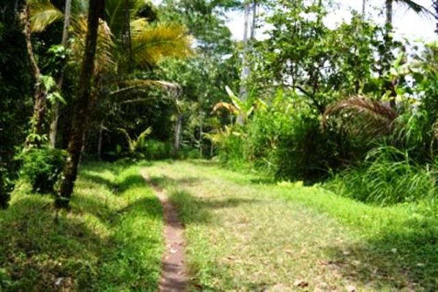 land for sale in ubud bali