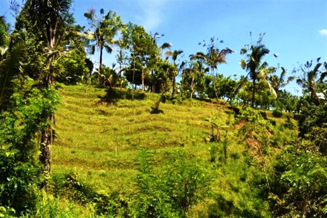 land for sale in ubud bali