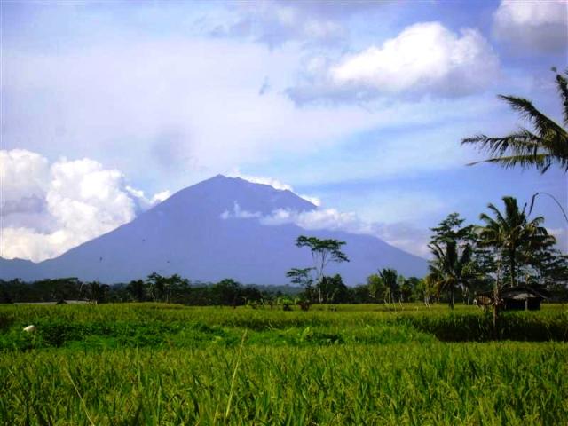 land for sale in ubud bali