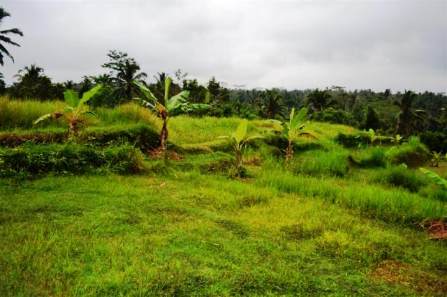 land for sale in ubud bali