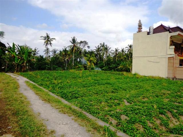 land for sale in ubud bali