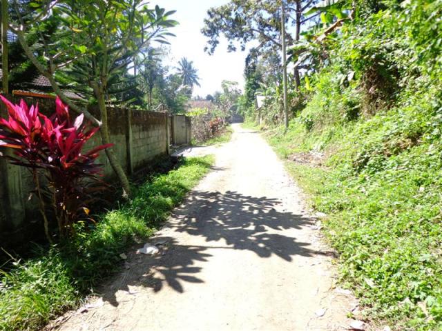land for sale in ubud bali