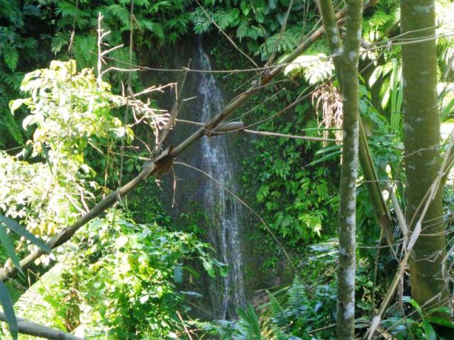 land for sale in ubud bali