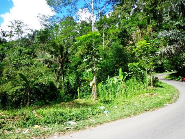 land for sale in ubud bali