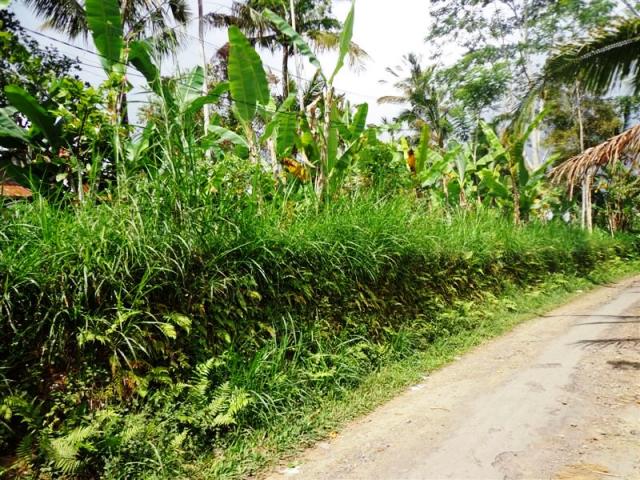 land for sale in ubud bali