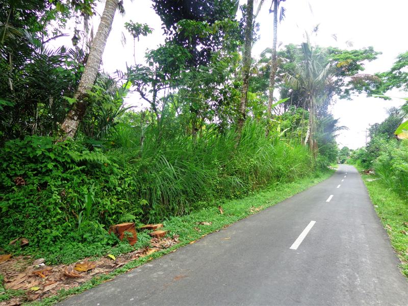 Land for sale in Ubud