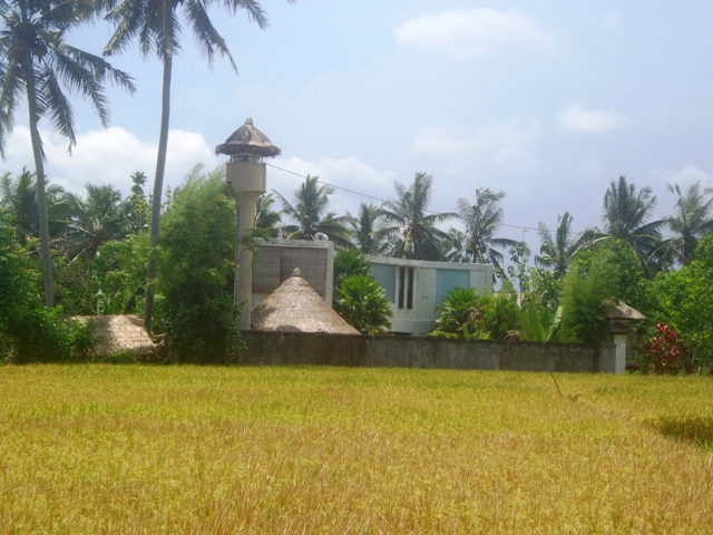 Land for sale in Ubud center, Ubud Bali