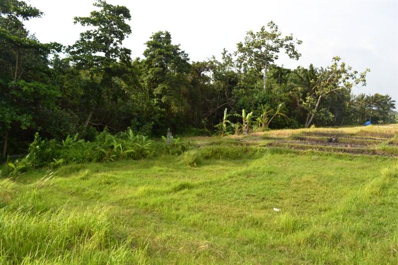 jual tanah di Cemagi Canggu