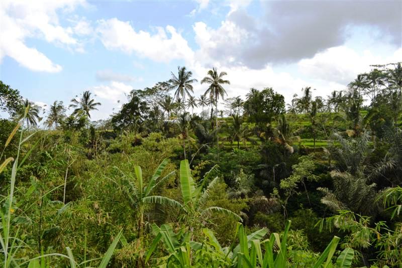 land for sale in ubud bali