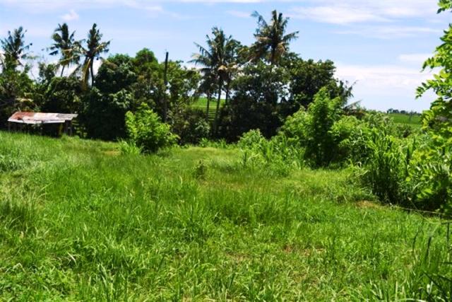 land for sale in canggu, bali