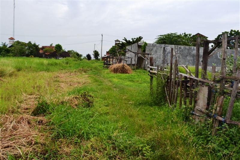 land for sale in canggu, bali