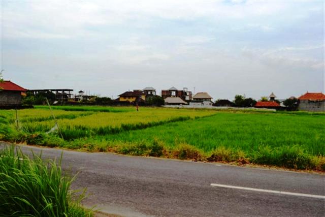 land for sale in canggu, bali