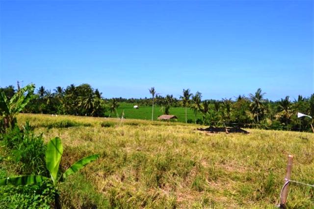 land for sale in canggu, bali