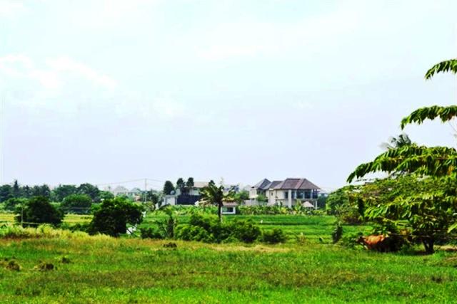 land for sale in canggu, bali