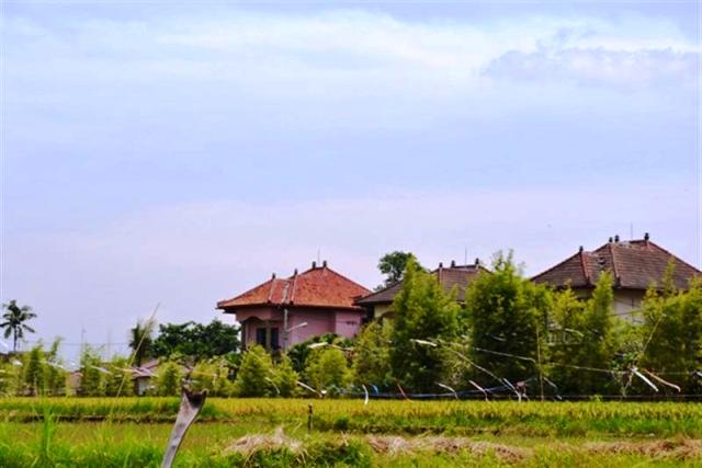 land for sale in canggu, bali