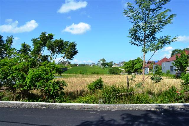 land for sale in canggu, bali