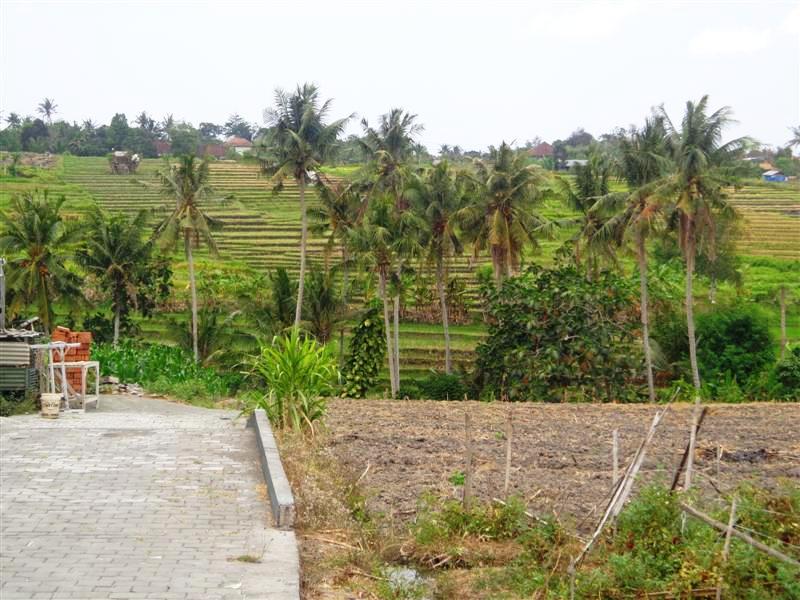 Land for sale in Canggu Bali