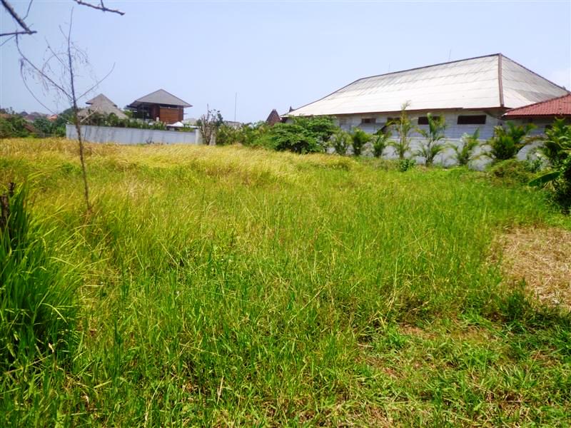 Land for sale in Canggu Bali