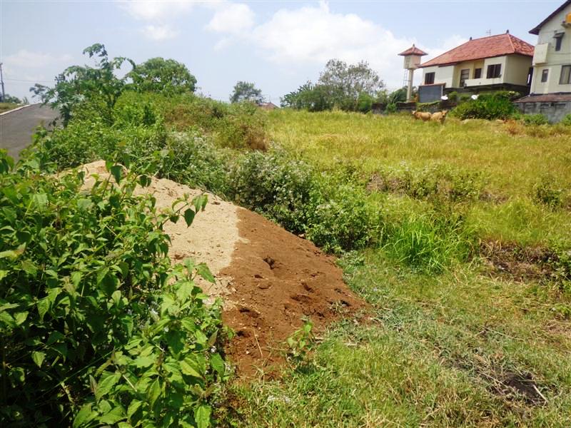 Land for sale in Canggu Bali