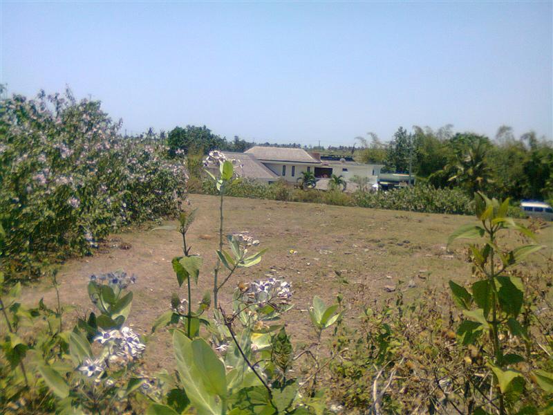 Land for sale in Canggu Bali