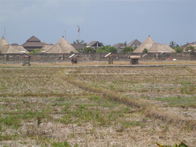 Land for sale in Canggu Bali