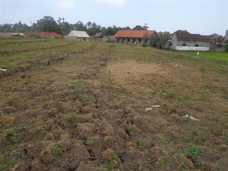 Land for sale in Canggu Bali