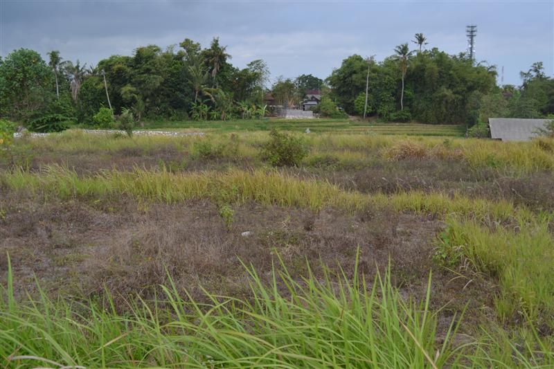 Land for sale in Canggu Bali