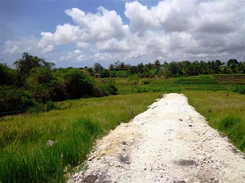 Land in Canggu Bali