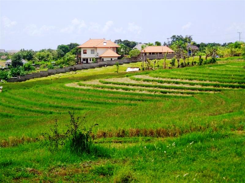 land in canggu Bali