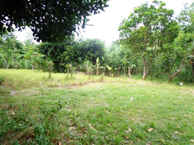 land in jimbaran,bali