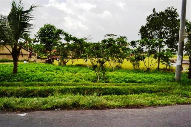 land for sale in ubud bali