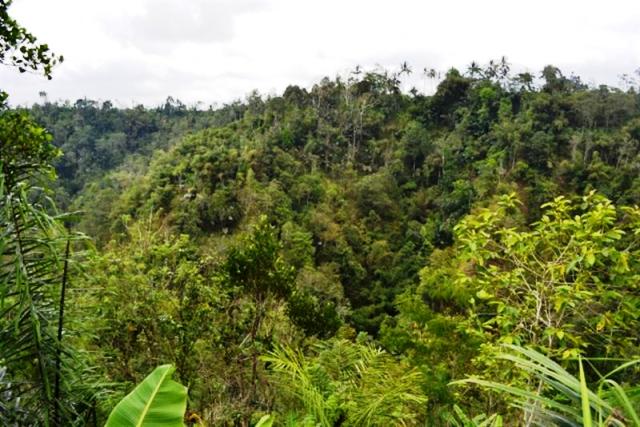 land for sale in ubud bali