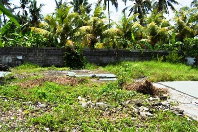 land for sale in ubud bali
