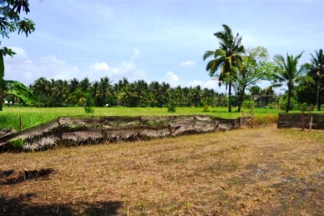 land for sale in ubud bali