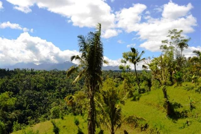 land for sale in ubud bali