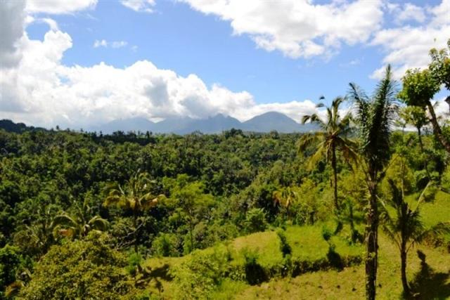 land for sale in ubud bali