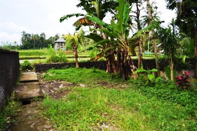 land for sale in ubud bali