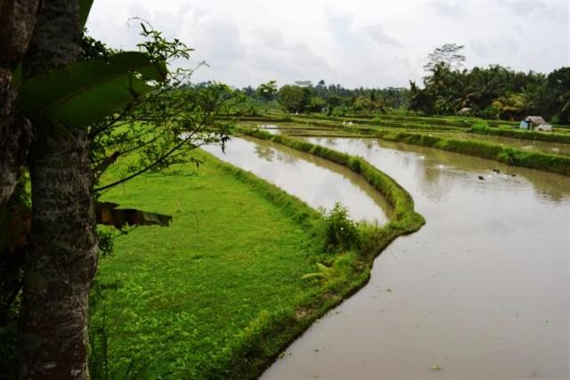 Land for sale in ubud Bali