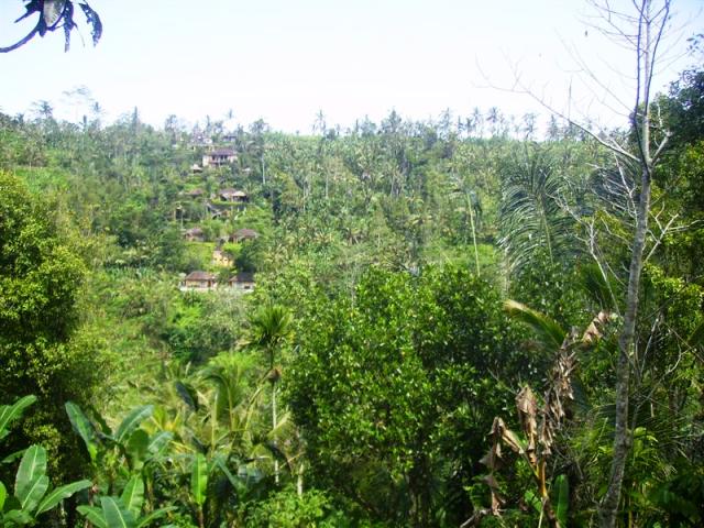 Land for sale in Ubud