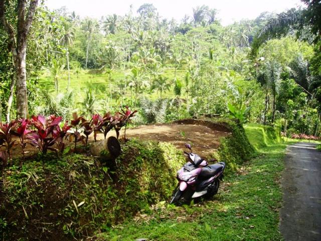 Land for sale in Ubud