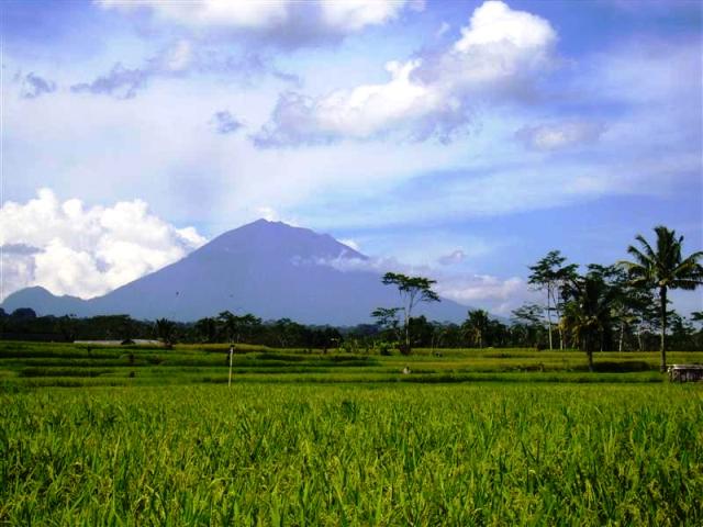 Land for sale in Ubud