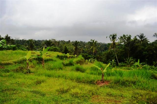 land for sale in ubud bali